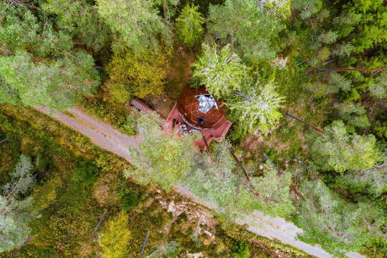 Treehouse Dome Hotel Vidnes Екстериор снимка
